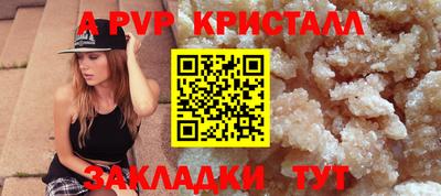 спиды Камышлов