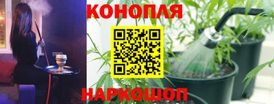 ECSTASY Канаш