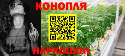 ECSTASY Канаш