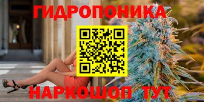 спиды Камышлов