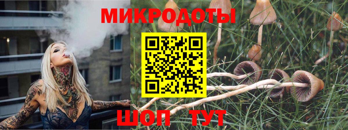 Лениногорск  Галлюциногенные грибы GOLDEN TEACHER  Галлюциногенные грибы мицелий  Вход с VPN 